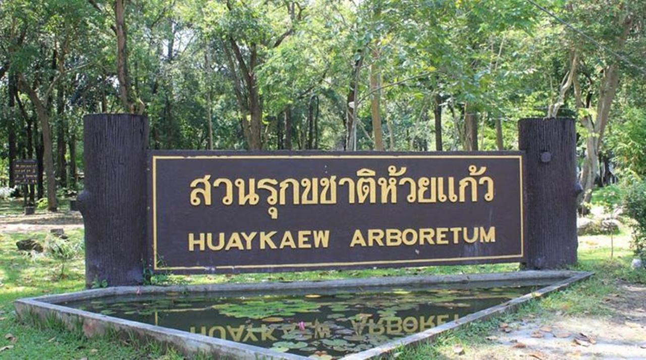 X Go Inn Chiang Mai University - Cmu Kültér fotó